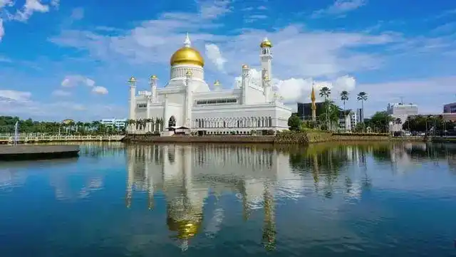 这个男孩若不努力踢球 "只能"回家继承亿万家产|文莱|国王|亲王_新浪