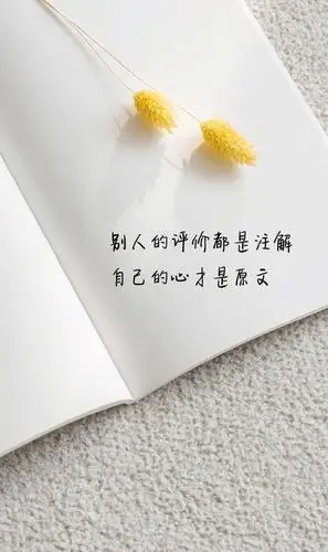 微信上很走心的句子倘若深情常被辜负余生尽予孤独又何妨