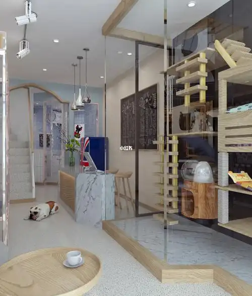 开一家宠物店要注意的有哪些!_百科-涨口碑