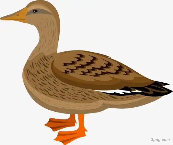 手绘卡通棕色鸭子
