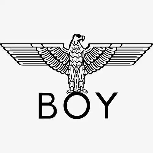 高清老鹰boylogo