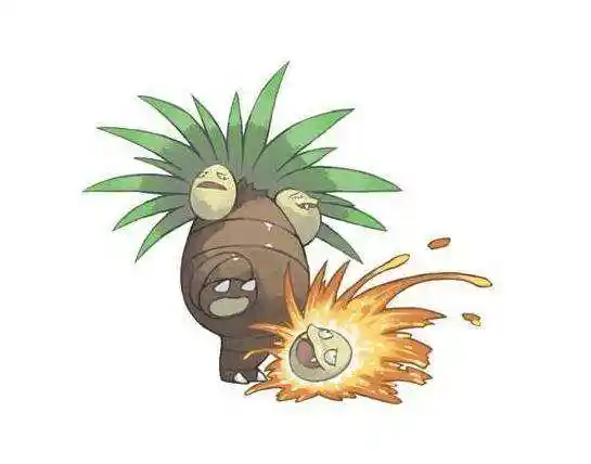 口袋妖怪:小茂道馆boss精灵详细图鉴