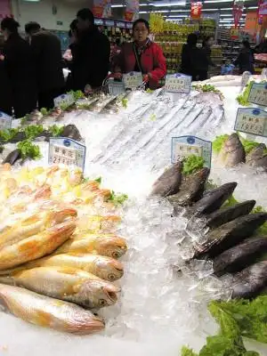 制冷应用在食品工-食品冷冻冷藏加工领域-冷库成套设备厂家-冷水机组