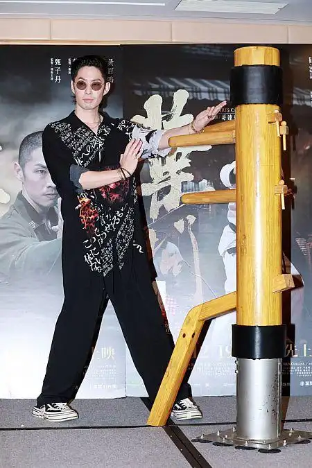 《叶问4:完结篇》为《叶问》系列电影的完结篇,是2