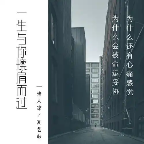 一生与你擦肩而过(原版)