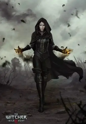 新爆精美原画《巫师3》