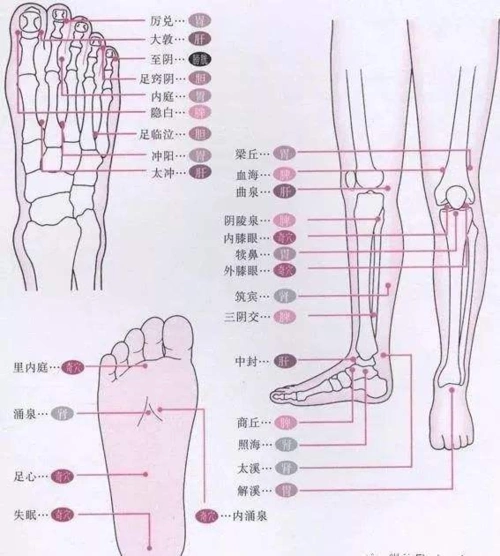 人老先衰退,腿痛怎么办?