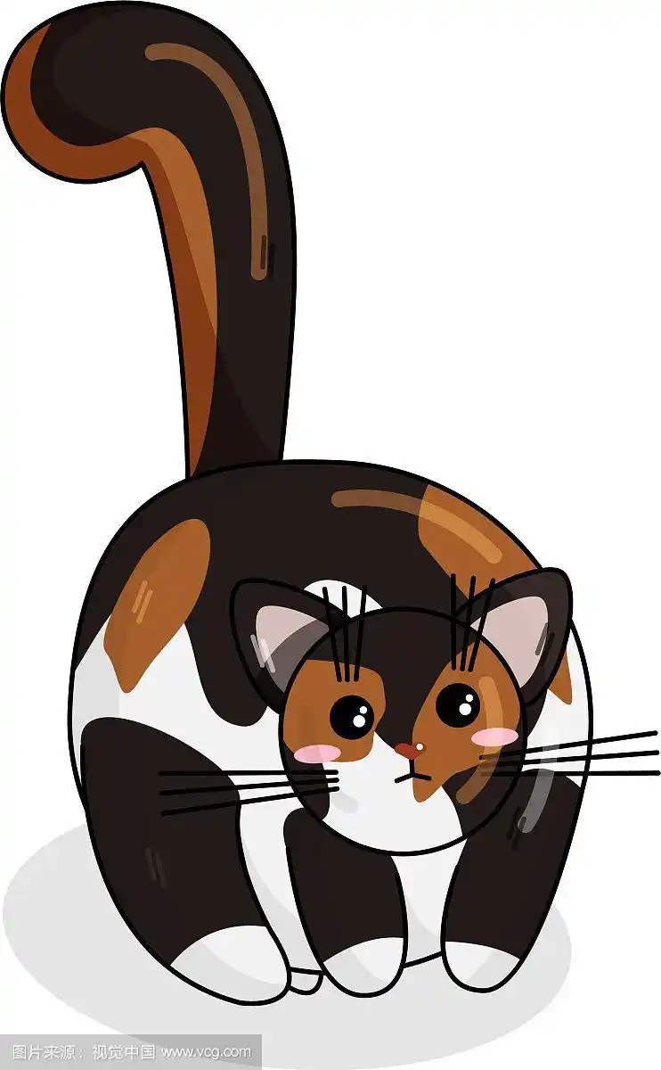 卡哇伊风格的挪威森林猫