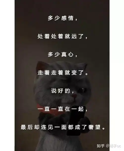 浅了淡了散了删了