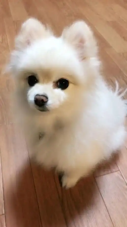 640_1138竖版 竖屏