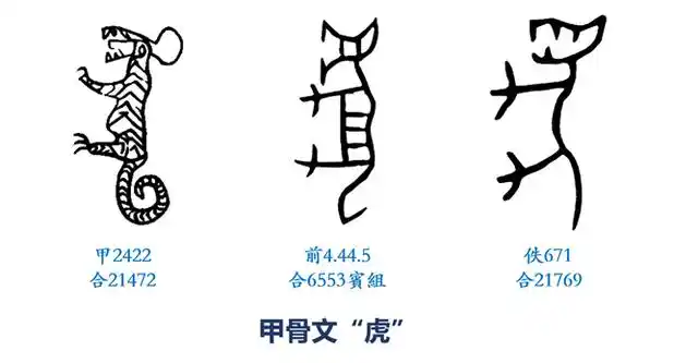 甲骨文里的"虎"字,有的十分具象,简直就是虎的肖像;有的较为简省,但都