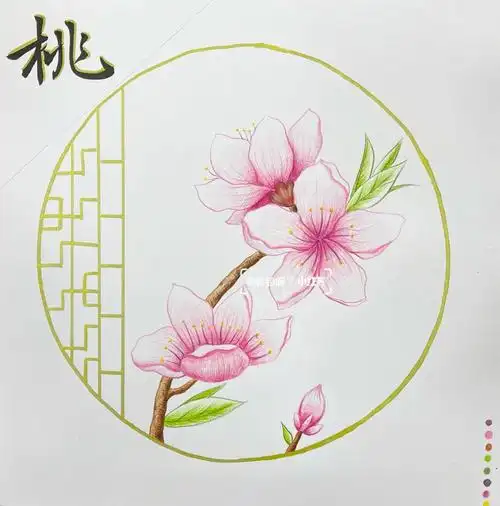 彩铅零基础第12课桃花