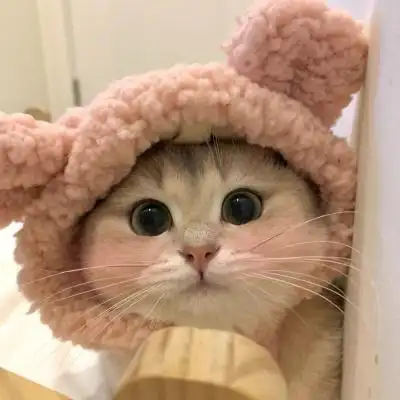 沫兮 卡哇伊可爱猫咪头像_微信头像_我要个性网