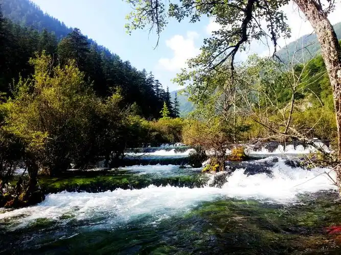 日则沟的起点处——原始森林间的溪水