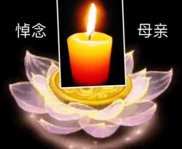 怀念母亲 写美篇  母亲走了,数十年的养育之恩,我无法用语言和文字来