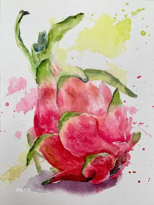 火龙果水彩单个练习