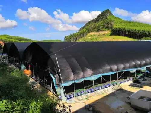 极少出台有关引导产业升级政策,导致牛蛙养殖业逐渐向整个粤东,粤西