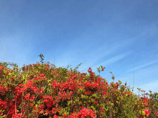 640_480gif 动态图 动图