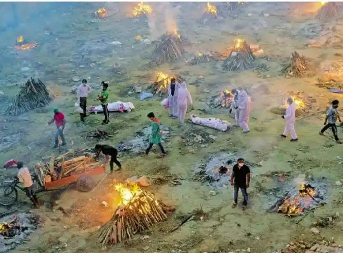 印度病毒内卷变异毒株数量急剧增多