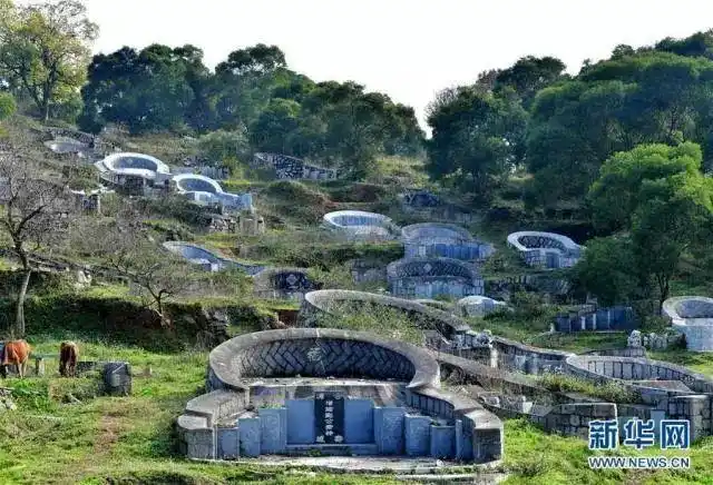 正文福州回应"豪华活人墓": 这是在福州市仓山区南三环快速路附近山上