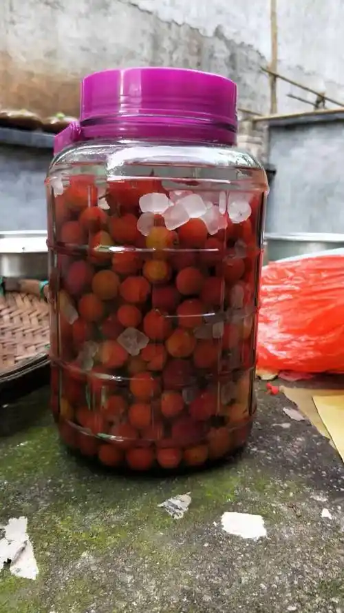 杨梅酒的功效和作用 -小蚊子百科网