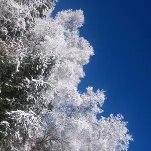 雪花头像