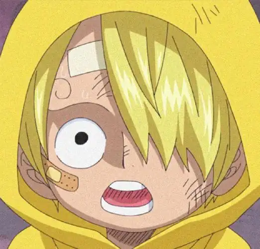 海贼王#海贼王超话草帽一伙小时候太可爱啦~可以当头像捏