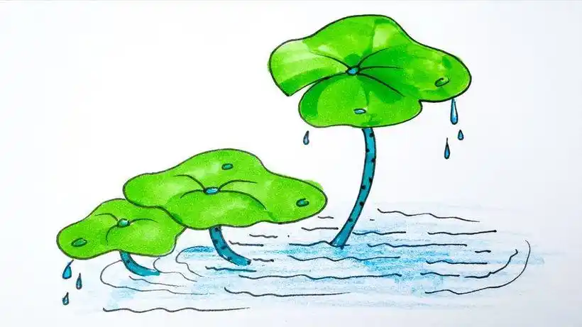 听说三月雨后荷叶是很漂亮今天教你画荷叶简笔画简单好看