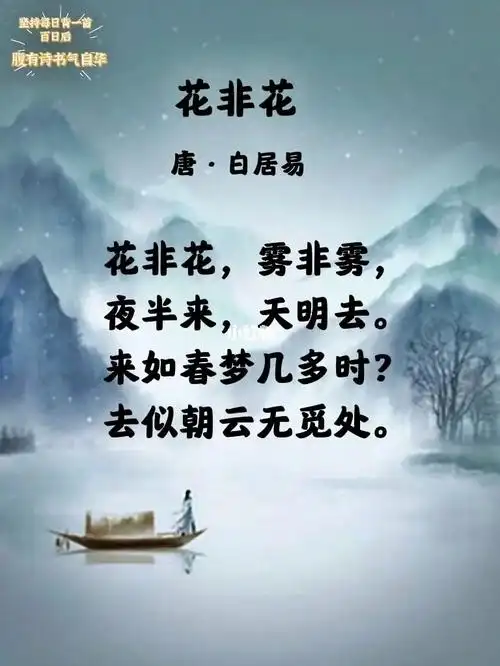每日诗词|《花非花》71白居易92