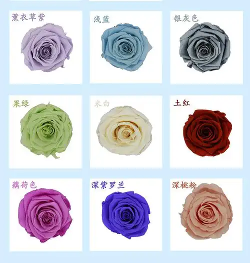 玫瑰颜色色卡_02