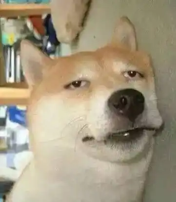 一只狗的表情也是丰富的很欢迎各位友友们来补充08