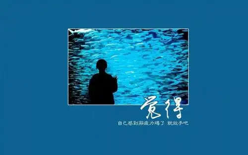 心累心痛心碎的说说图片,高清壁纸图片,非主流-回车桌面