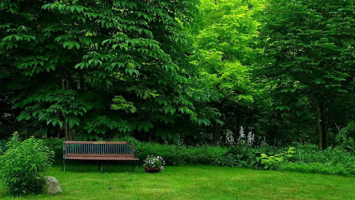 绿色护眼风景桌面壁纸