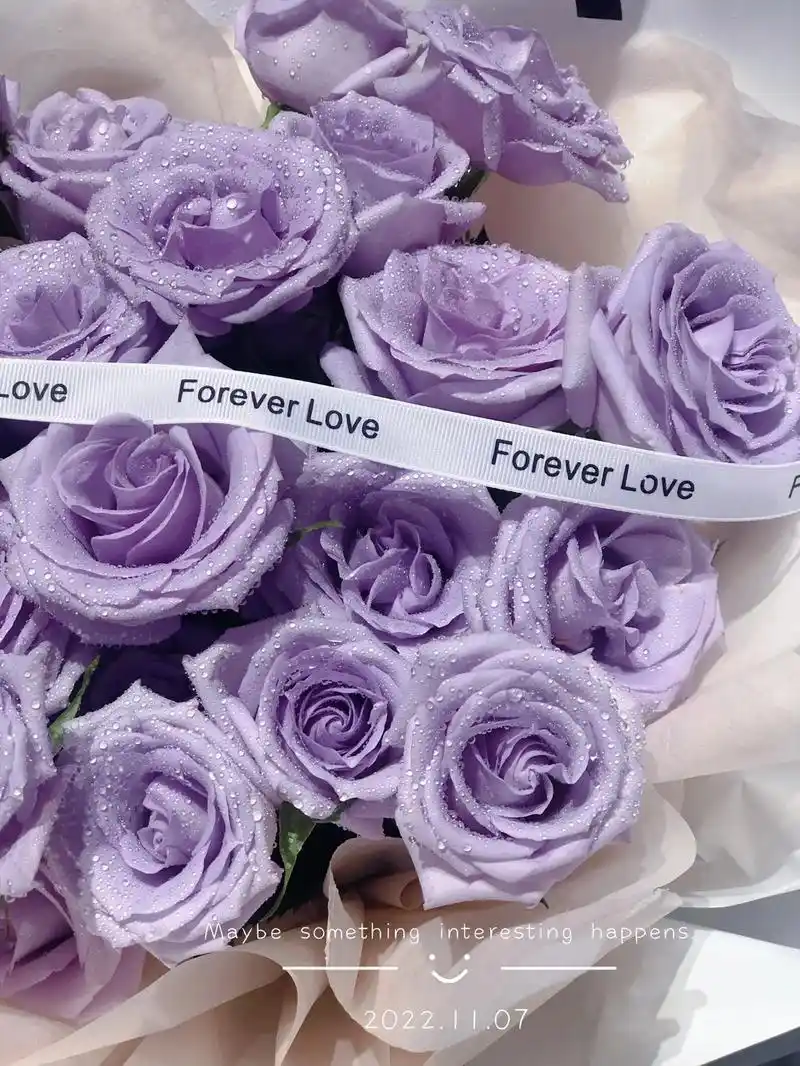 海洋之歌玫瑰花束桂林花店