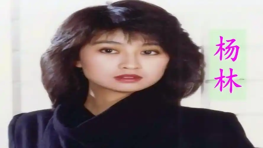 杨林零下几度c港台情歌80年代曾经的校园偶像歌星