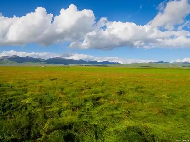 若尔盖草原,位于四川省阿坝藏族羌族自治州,犹如一块璀璨的宝石镶嵌在