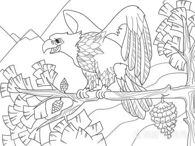 猛禽是树枝上的一只老鹰.猎鹰在圣诞树上.着色儿童