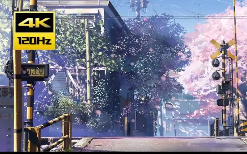 4k120帧新海诚秒速五厘米电影onemoretimeonemorechance樱花飘落的