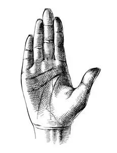 素描的手掌手照片