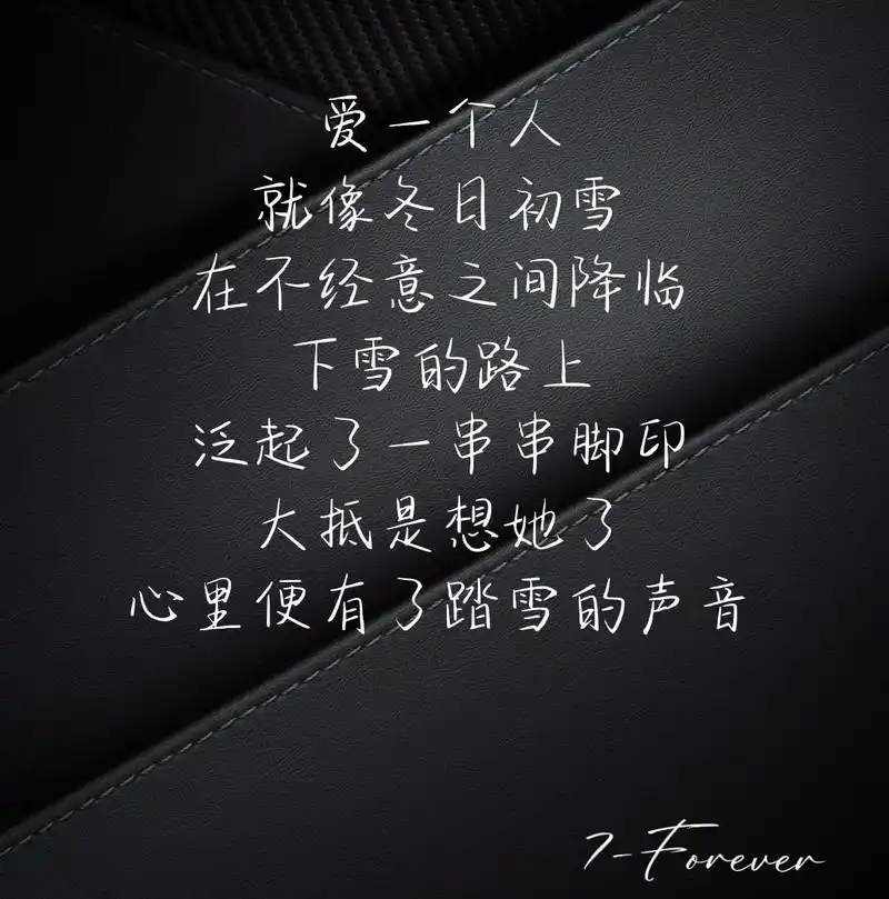 文案 #文案馆 #爱情  爱一个人 就像冬日初雪 在不经意 - 抖音