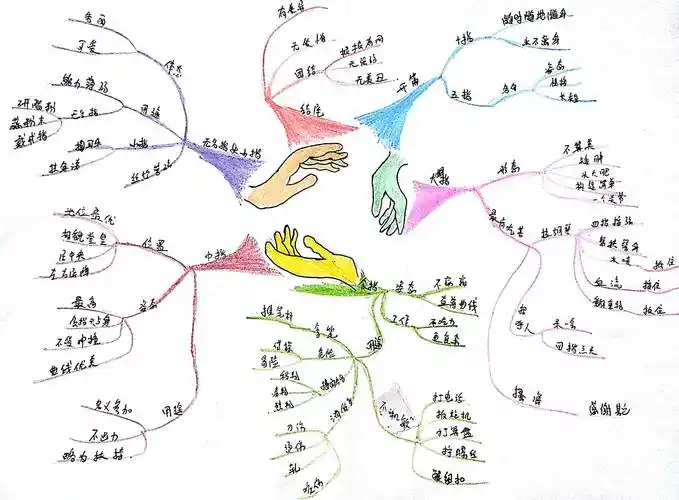 【博颖教育:思维导图培训班】陈嘉睿第五幅《手指》