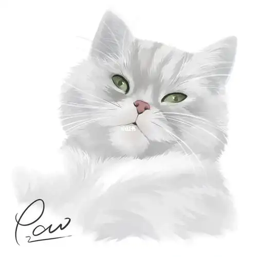 是不是所有的银渐层都这幅表情