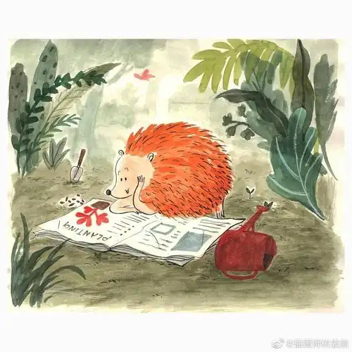 中国台湾插画师 ya-ling huang 小刺猬的故事童书绘本插画设计作品