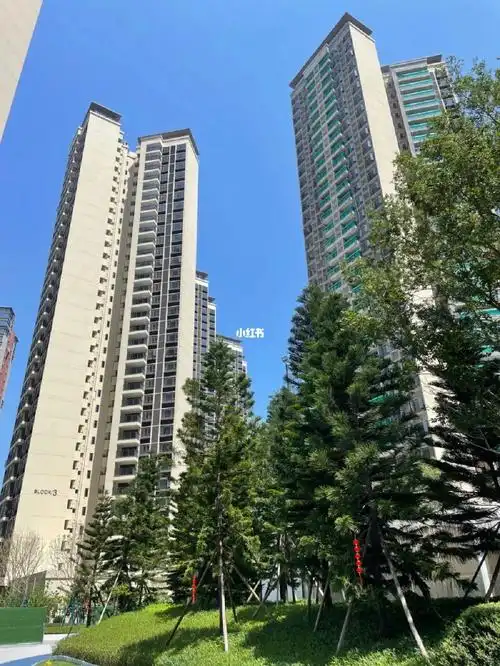 番禺现房保利悦公馆年度最低总价340万