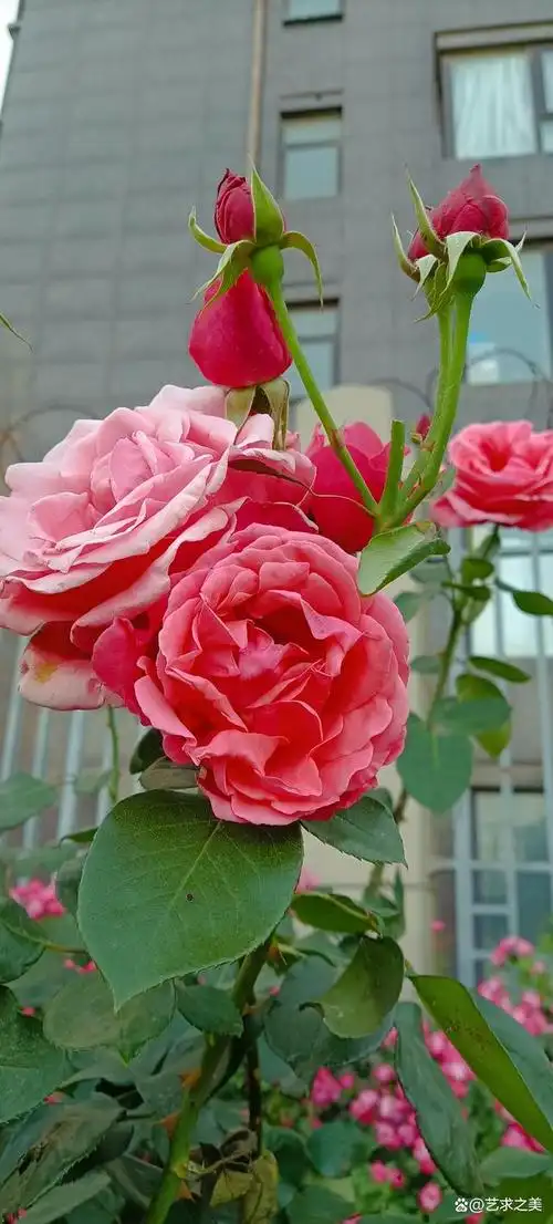 640_1416竖版 竖屏