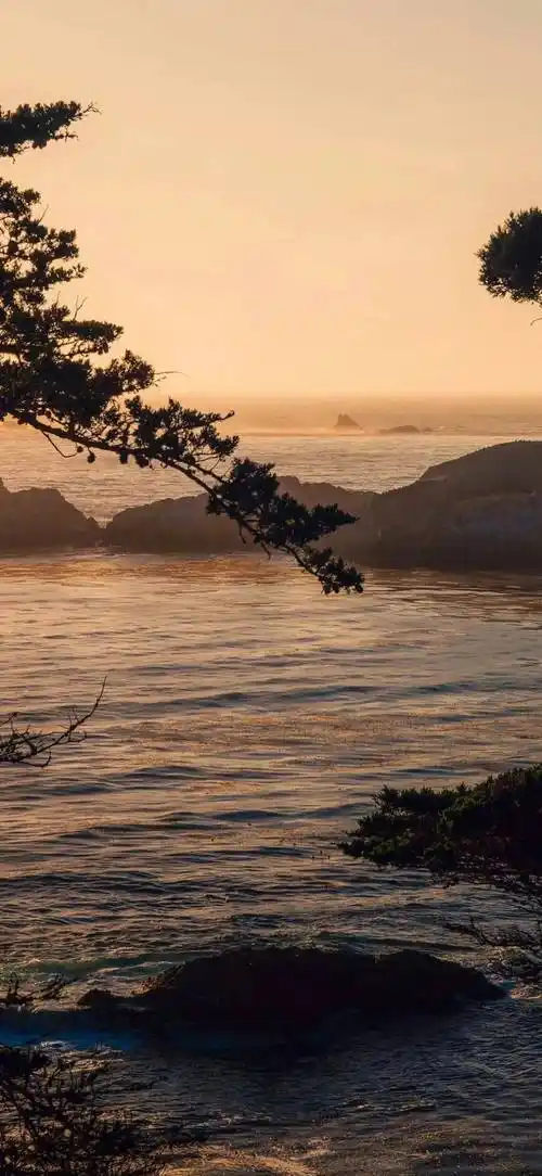 壁纸清新有趣锁屏壁纸用一张吧