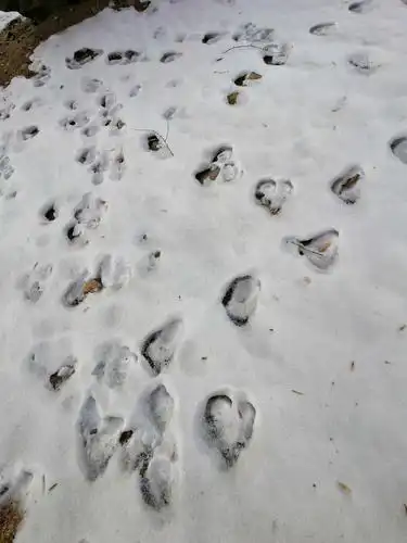 一姳(猴石)的美篇