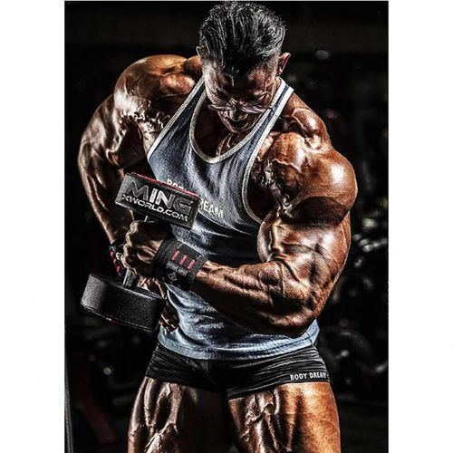 狼天影 鹿晨辉海报墙贴画健身房宿舍健美先生励志墙上床头贴纸可定制