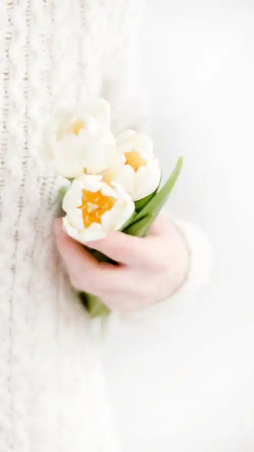 清新淡雅的花朵