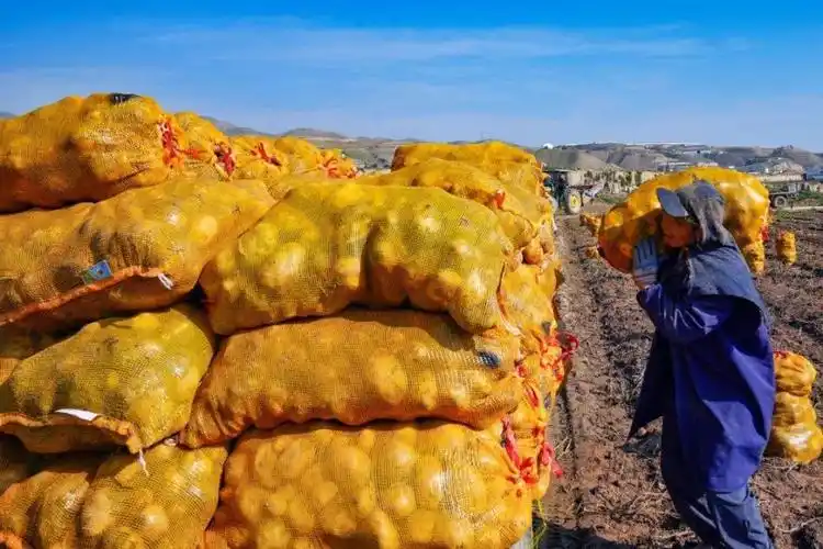 中国农民丰收节
